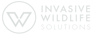 INVASIVE WILDLIFE SOLUTIONS